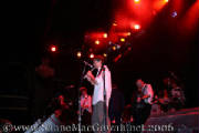 the_pogues_at_the_fillmore5.jpg